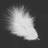 Marabu tollpihe - WHITE (feh�r)